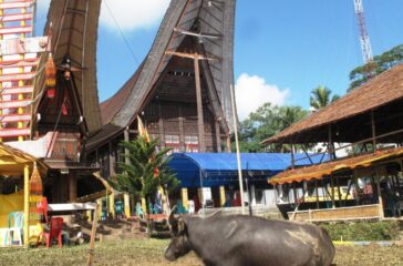 jalan panjang